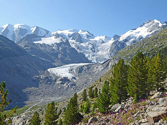 Piz Palu massif, Bellavista, Crast'Aguzza, the Piz Bernina massif and Piz Morteratsch 