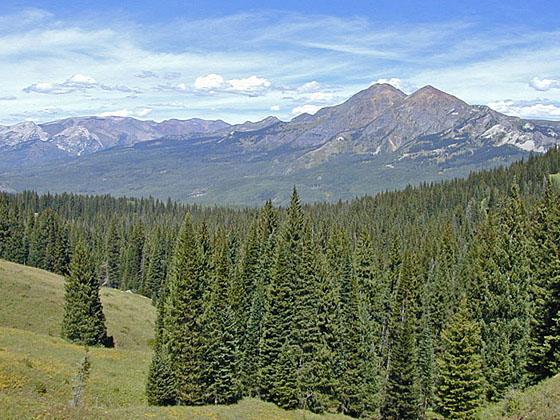 The Ruby Range and Raggeds Range from Beckwith Pass