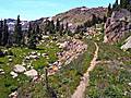 Pretty landscape around the old railroad bed