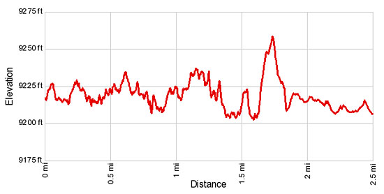 Elevation Profile Interlaken