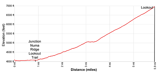 Elevation Profile - Numa Ridge Lookout