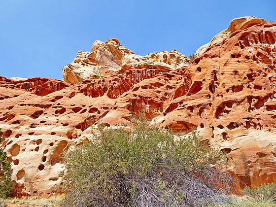 Walls of Cohab Canyon