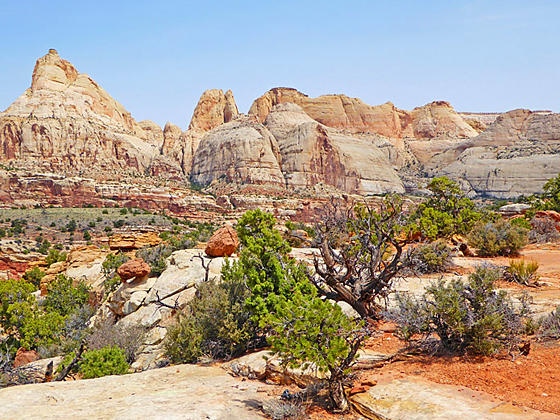 View from the Fryingpan Trail 