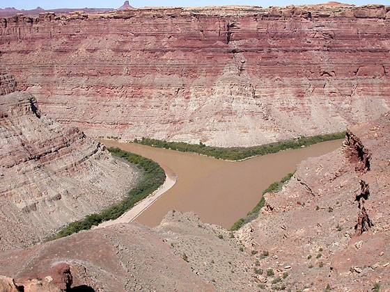 View of the Colorado and Green Rivers from the Confluence Overlook