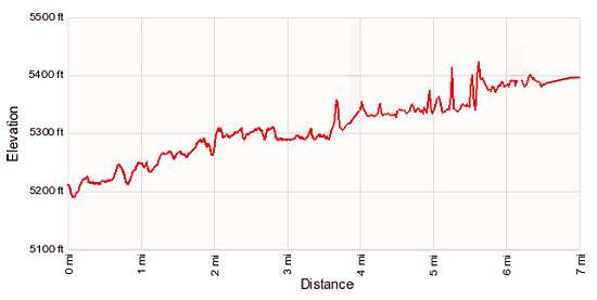 Elevation profile lower Escalante River